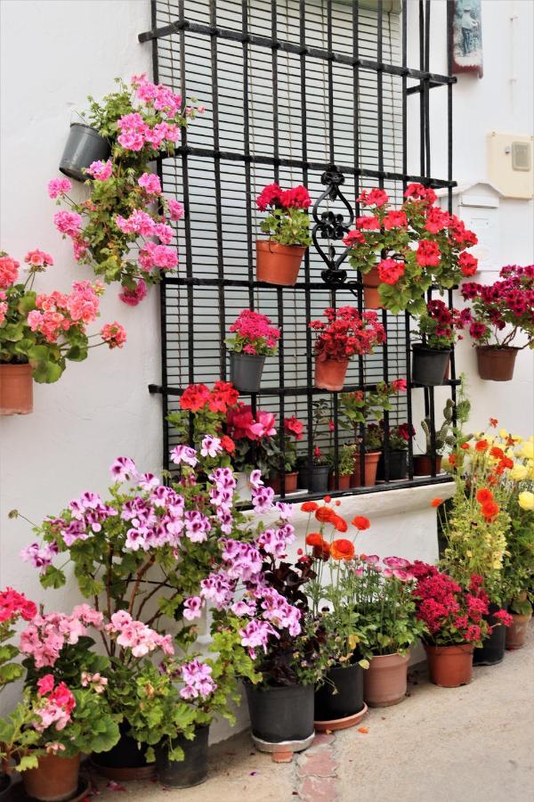 Hostal Moncada Gaucin Exterior photo