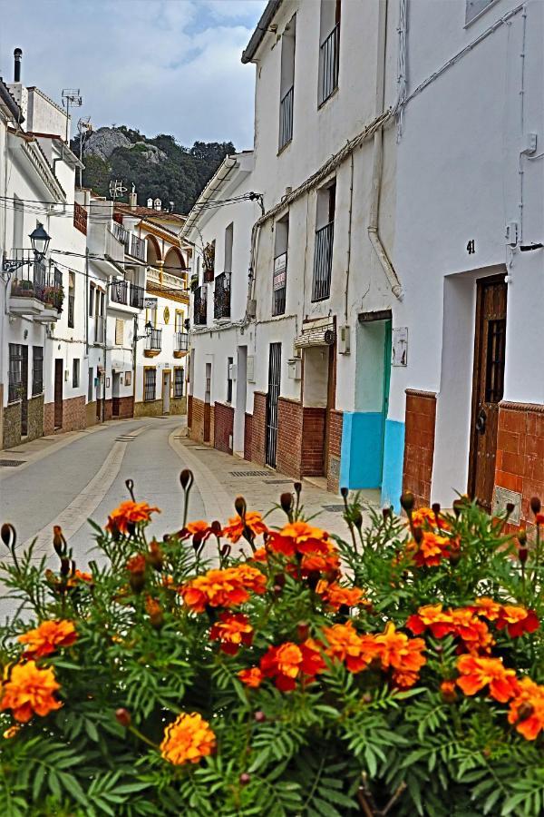 Hostal Moncada Gaucin Exterior photo